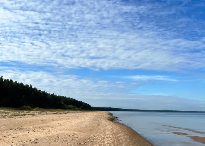 Apartament Avers House